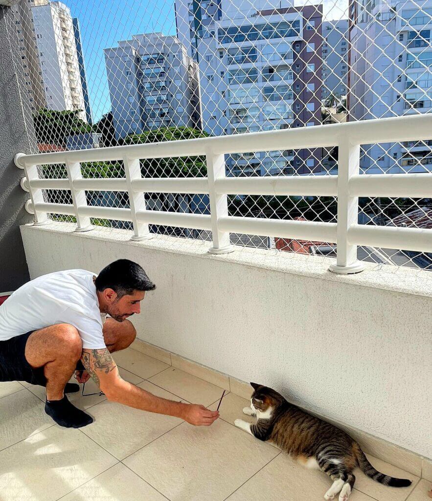 Cuiador de Gatos em HIgienóplois, cuidados com proteção e segurança