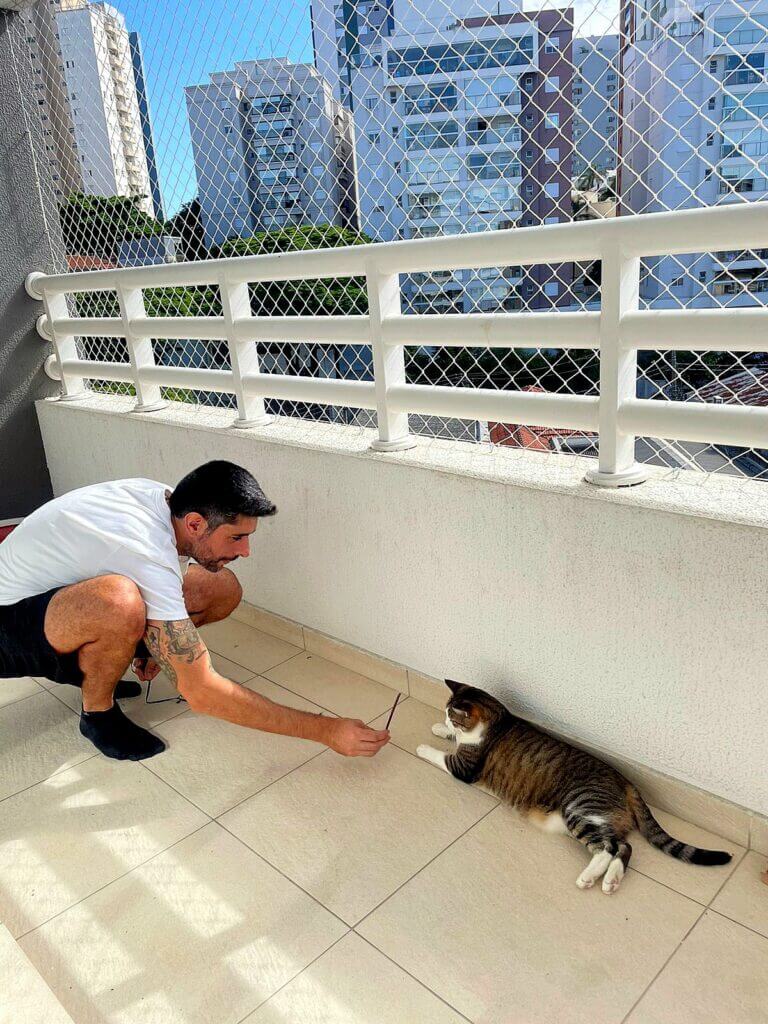 Cat Sitter no centro de São Paulo brincando com gato