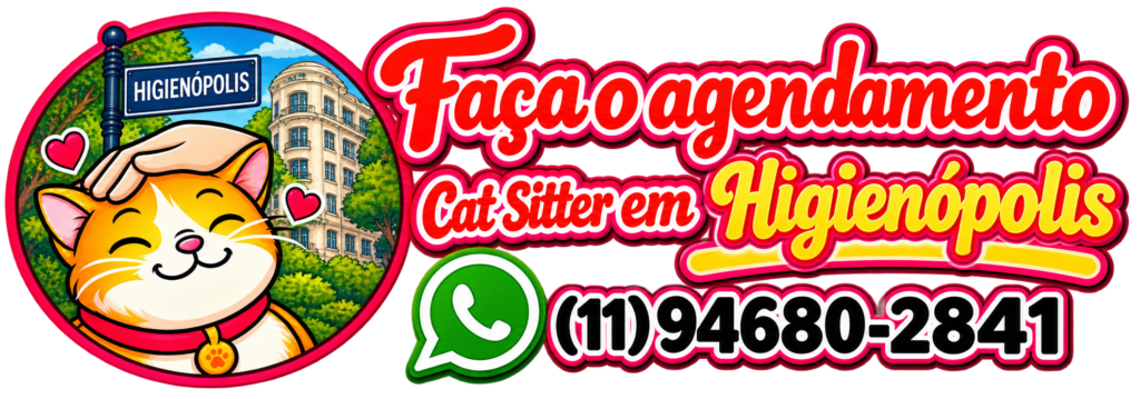 Cat sitter em Higienópolis para gatos em atendimento domiciliar