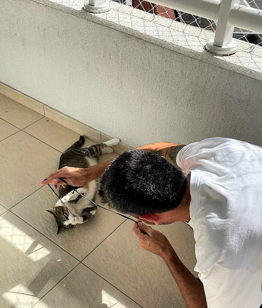 “Cat sitter em São Paulo brincando com gato em apartamento com tela de proteção durante visita domiciliar”