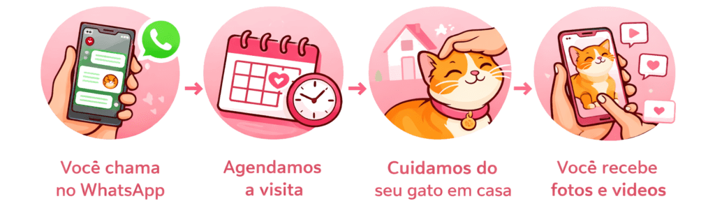 Cat sitter especialista em gatos como contratar