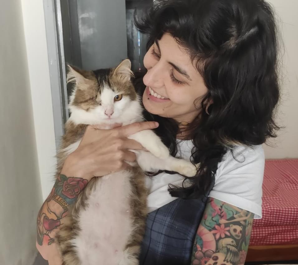 Quanto custa um cat sitter especialista