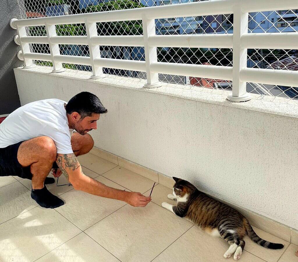 cat sitter em sao paulo realizando visita domiciliar e interagindo com gato em apartamento