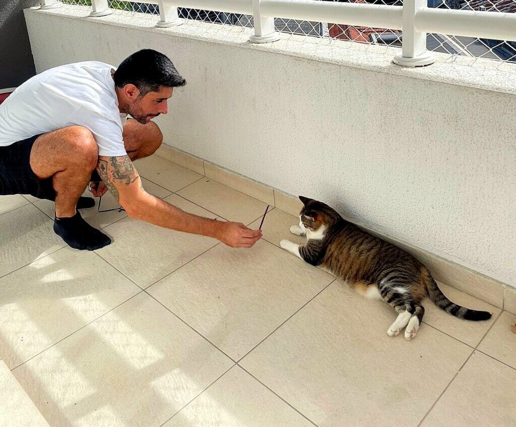 quantas visitas um cat sitter deve fazer por dia em apartamento de sao paulo