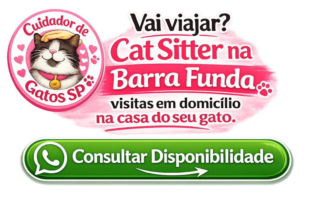 cat sitter na Barra Funda atendimento em domicílio para gatos