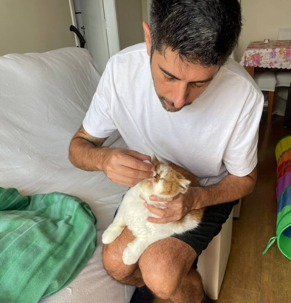 Cuidador de gatos realizando limpeza ocular em gato durante visita domiciliar no Pacaembu em São Paulo