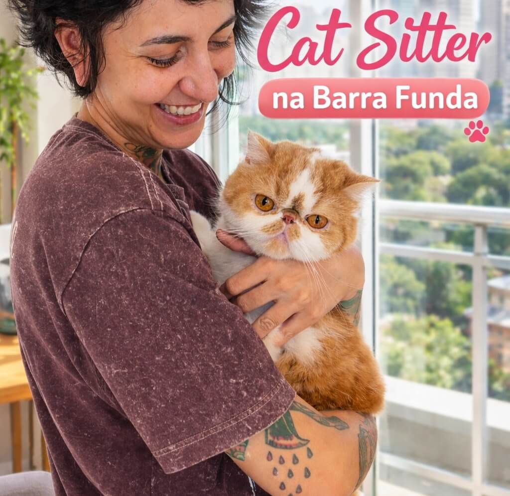 cat sitter na Barra Funda cuidando de gato em apartamento com varanda