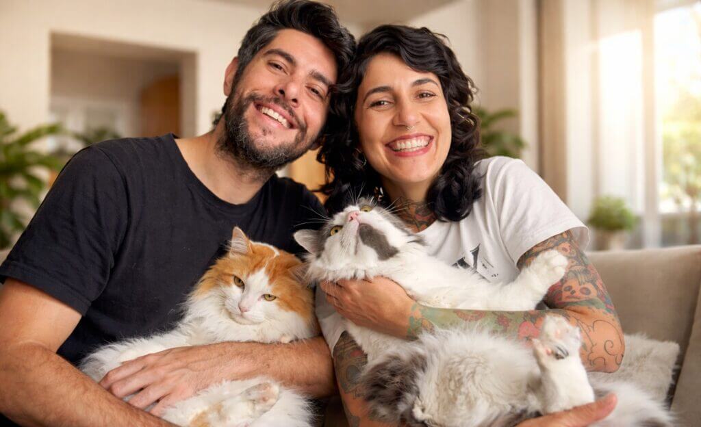 Cuidador de gatos em São Paulo com atendimento domiciliar seguro e rotina preservada