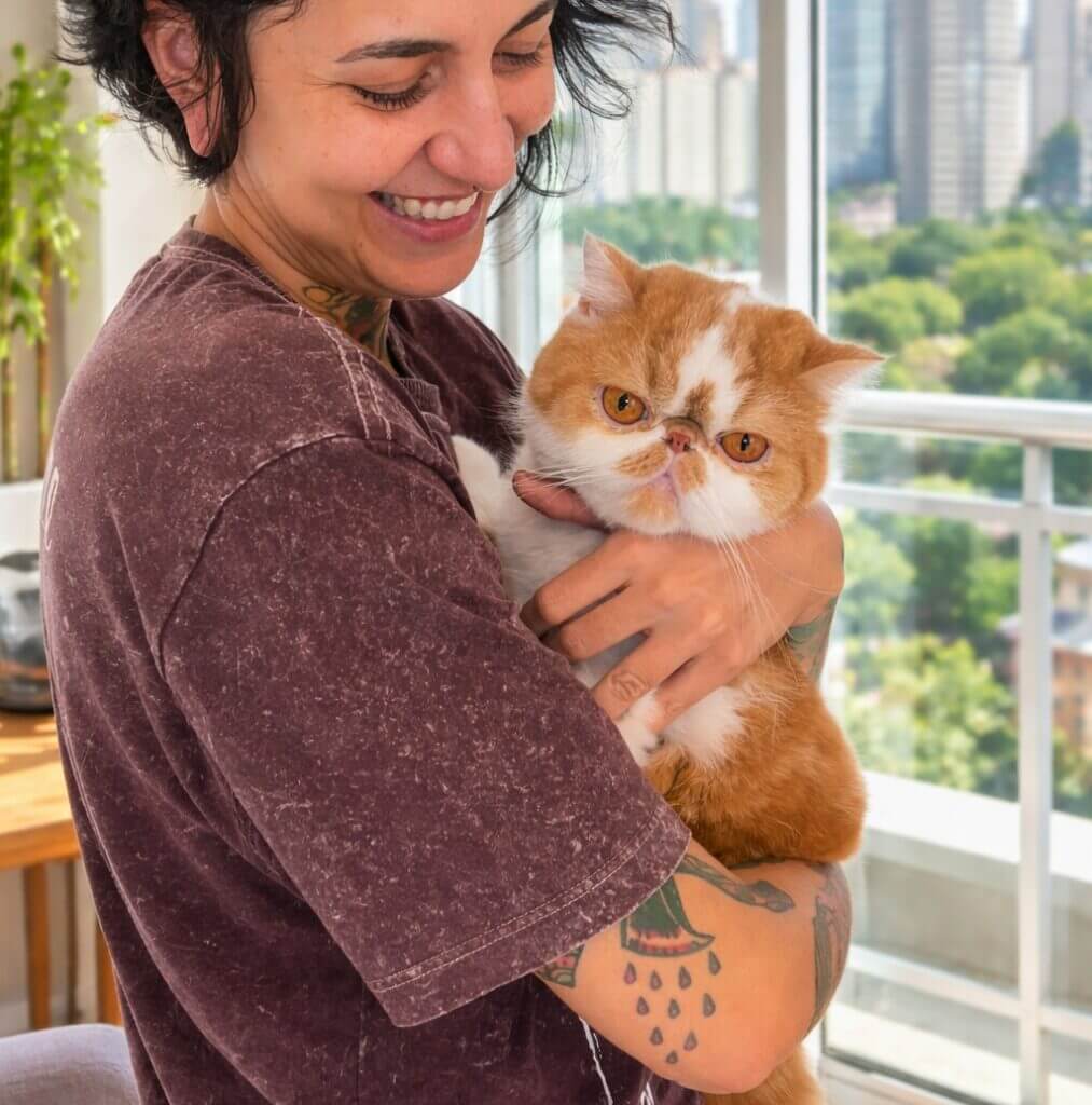 Cuidador de gatos na Barra Funda cuidando de gato em condomínio 