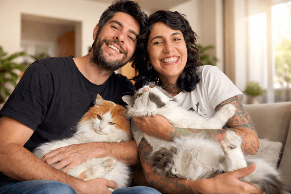 Cuidador de gatos em São Paulo com atendimento domiciliar seguro e acompanhamento dos tutores