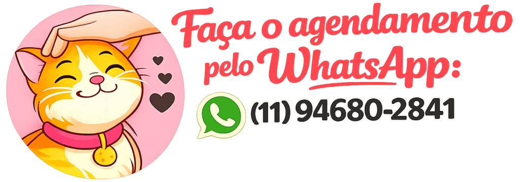 cat-sitter-na-belavista-atendimento-domiciliar.png