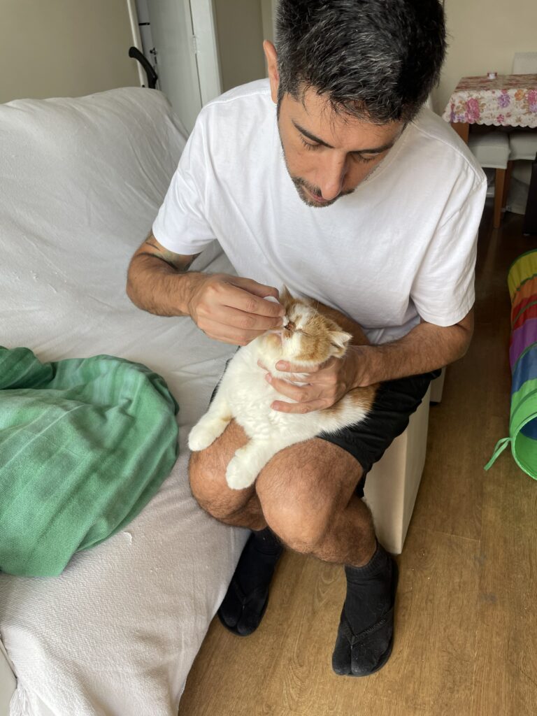 Catsitter administrando medicação em gato durante atendimento domiciliar em São Paulo