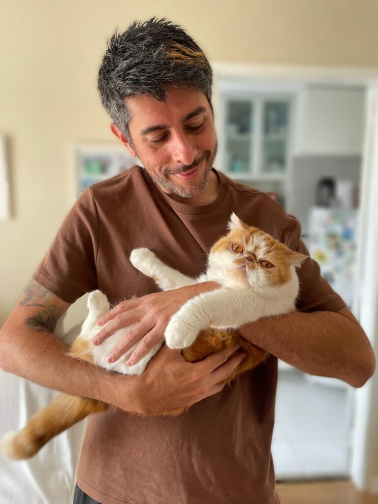 Cuidador de Gatos SP atendimento domiciliar, Cat Sitter na Consolação em São Paulo.