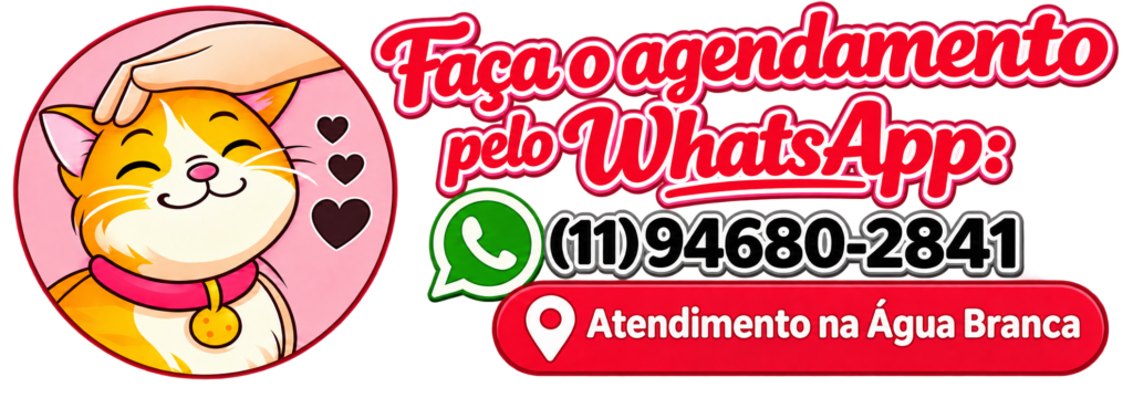 Banner de agendamento pelo WhatsApp para cat sitter na Água Branca