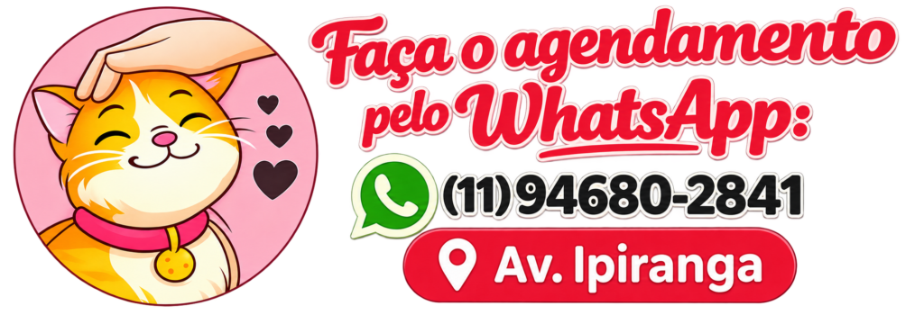 Banner de cat sitter na Av. Ipiranga com agendamento pelo WhatsApp
