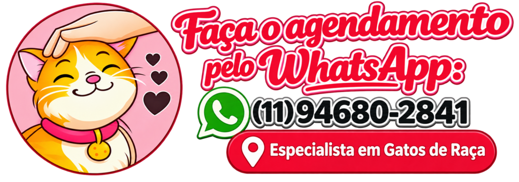 Agendamento pelo WhatsApp com especialista em gatos de raça em São Paulo