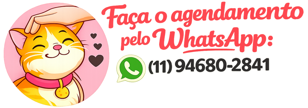 Cuidador de Gatos na Av. São João: Cat Sitter em Casa em São Paulo