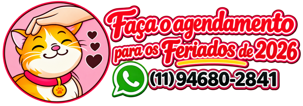 Agendamento de cat sitter para feriados de 2026 em São Paulo