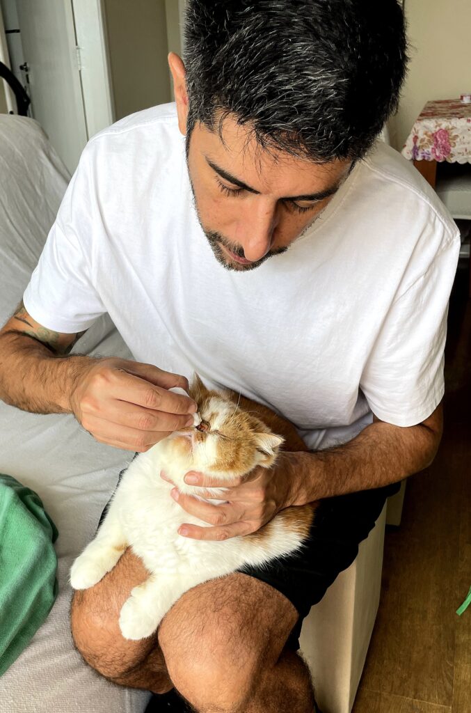 Cat sitter cuidando de gato Exótico durante atendimento em São Paulo