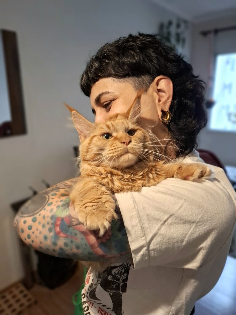 Cat sitter com gato Maine Coon durante atendimento em São Paulo