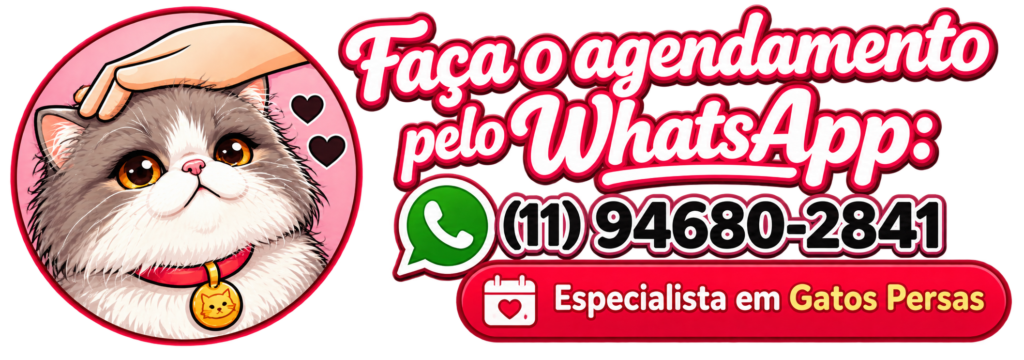 Agendamento pelo WhatsApp com especialista em gatos Persas