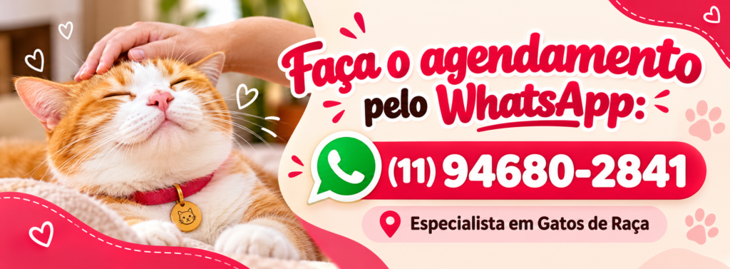 Banner de agendamento pelo WhatsApp para serviço de cat sitter especialista em gatos de raça em São Paulo
