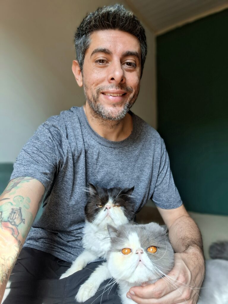 Cat sitter com dois gatos Persas em São Paulo