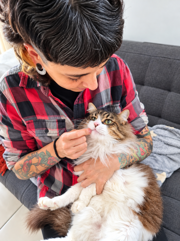 Cuidador de gatos durante a administração de medicamento a um gato em casa